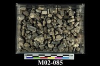 藏品(普通角閃石)的圖片